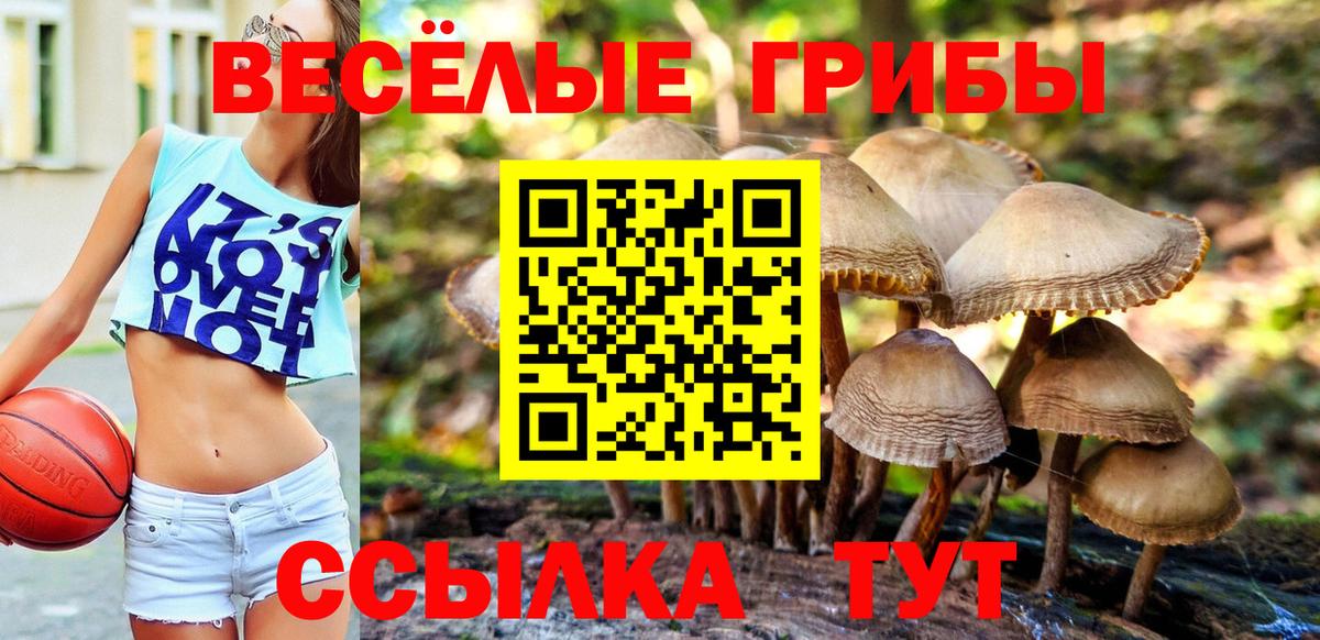 Галлюциногенные грибы Psilocybe  Вход с VPN  где продают   Воткинск  Галлюциногенные грибы мицелий 